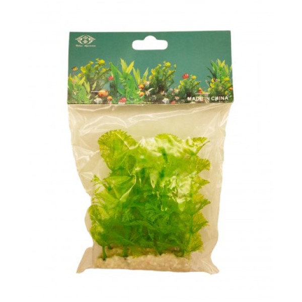 ΔΙΑΚΟΣΜΗΤΙΚΟ ΦΥΤΟ ΕΝΥΔΡΕΙΟΥ